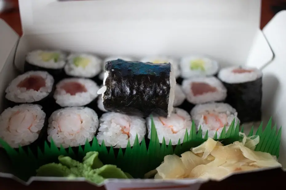 Close Up von einem Maki seitlich